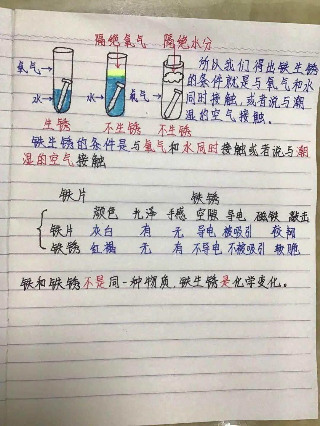 我的科学日记 ——六年级线上科学课第一阶段展示_笔记