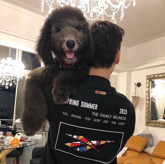 陈伟霆结束14天的隔离,晒出关帅照,心情大好_猫猫