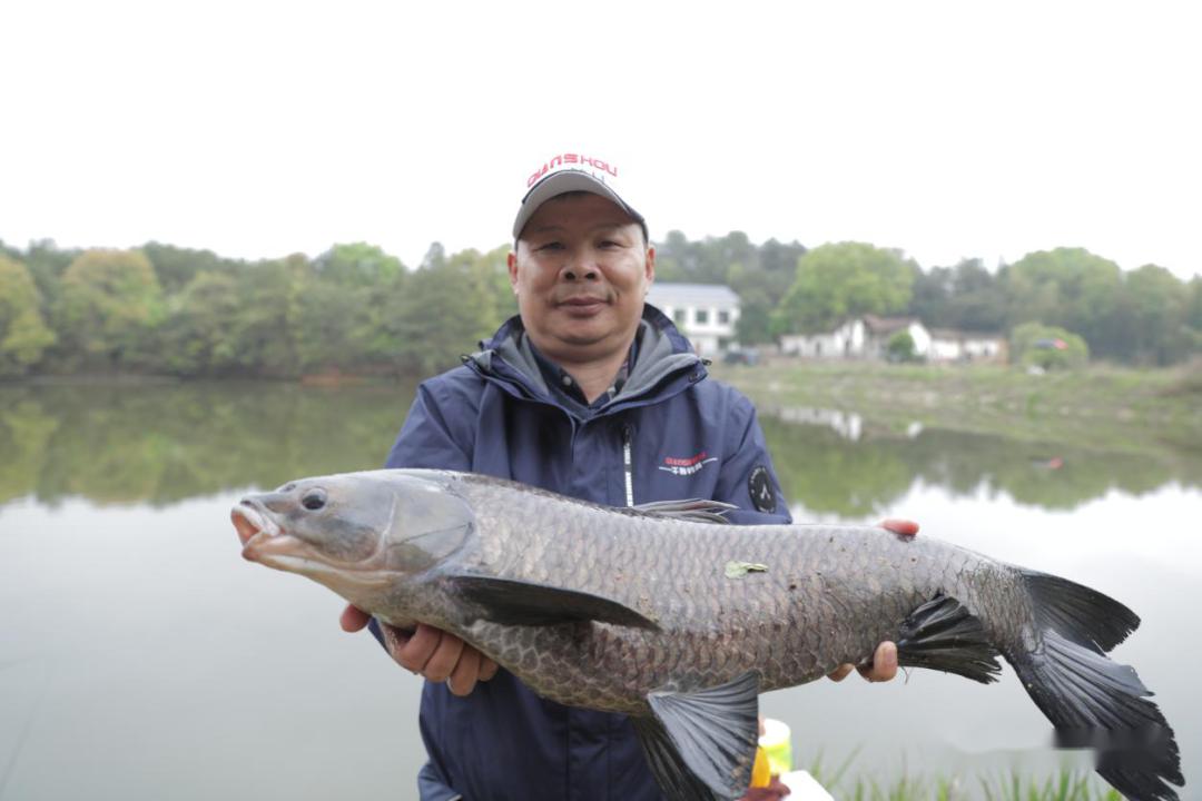 12主线搭配08子线钓16斤青鱼你跟大青鱼只差一个打结方法