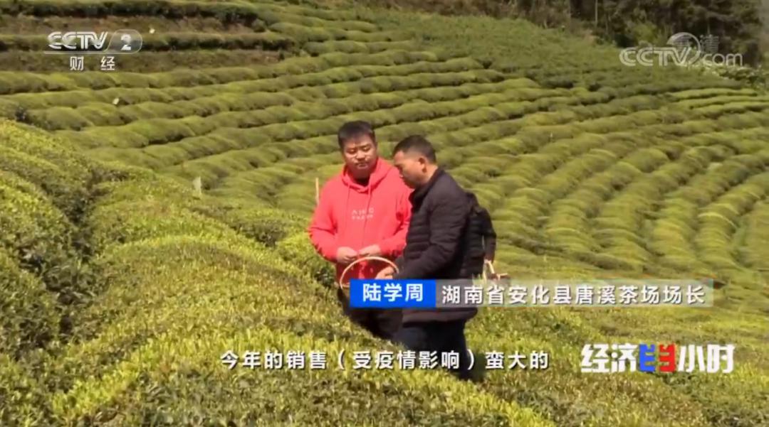 直播带货的安化网红县长火上了央视经济半小时