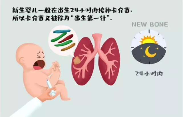 较真卡介苗真能预防新冠病毒吗