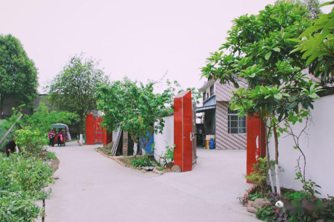 巴巴掌广汉这个村颜值不一般村民都是庭院设计师