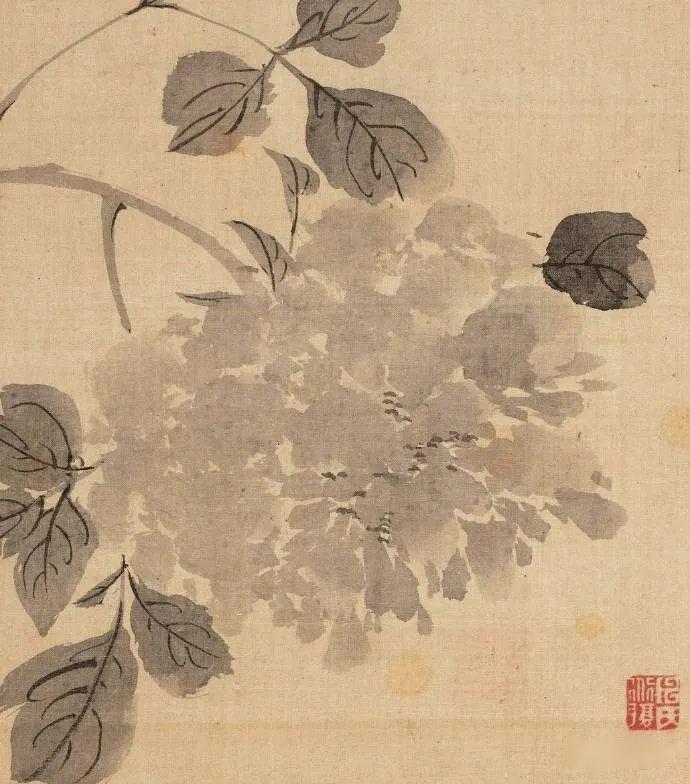 名品视界明陈淳书画作品之三花卉书法册页十六开