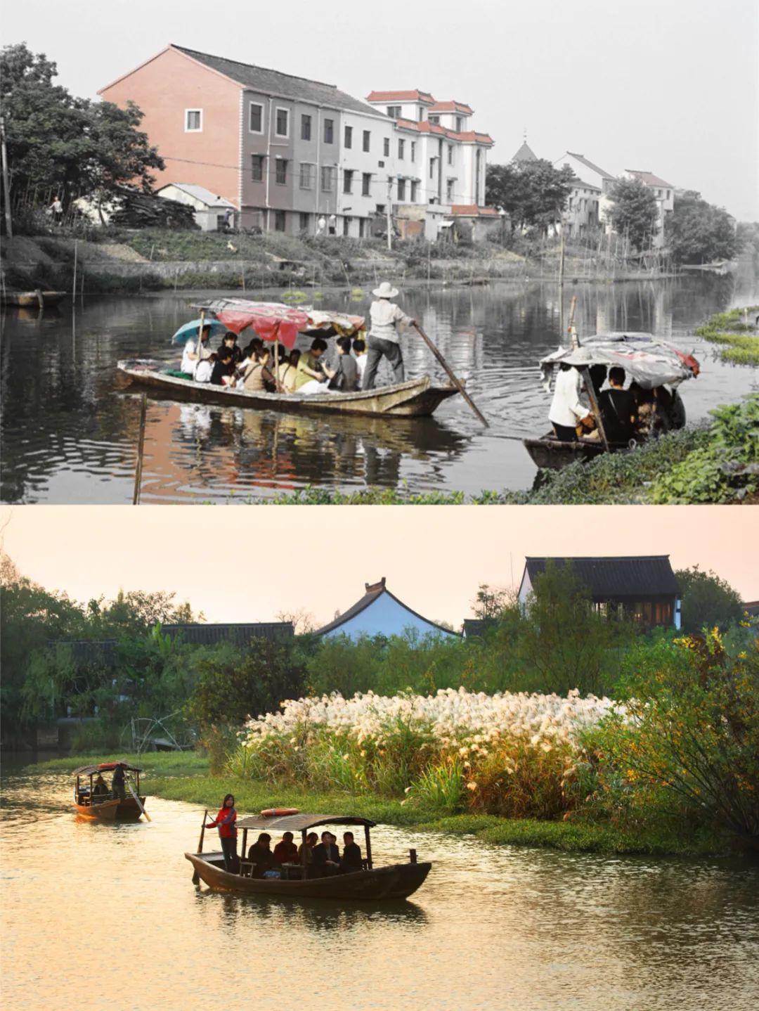 一波新老照片见证西溪湿地变迁这里以前竟然是
