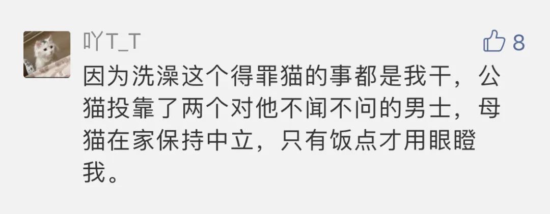 我家两只公猫，为什么喜欢呆在男朋友身边？