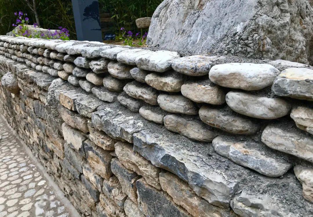 村里还有原生态民宿……_柏树村