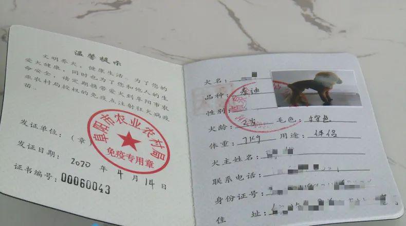 临泉养狗的注意了犬只登记办理开始啦