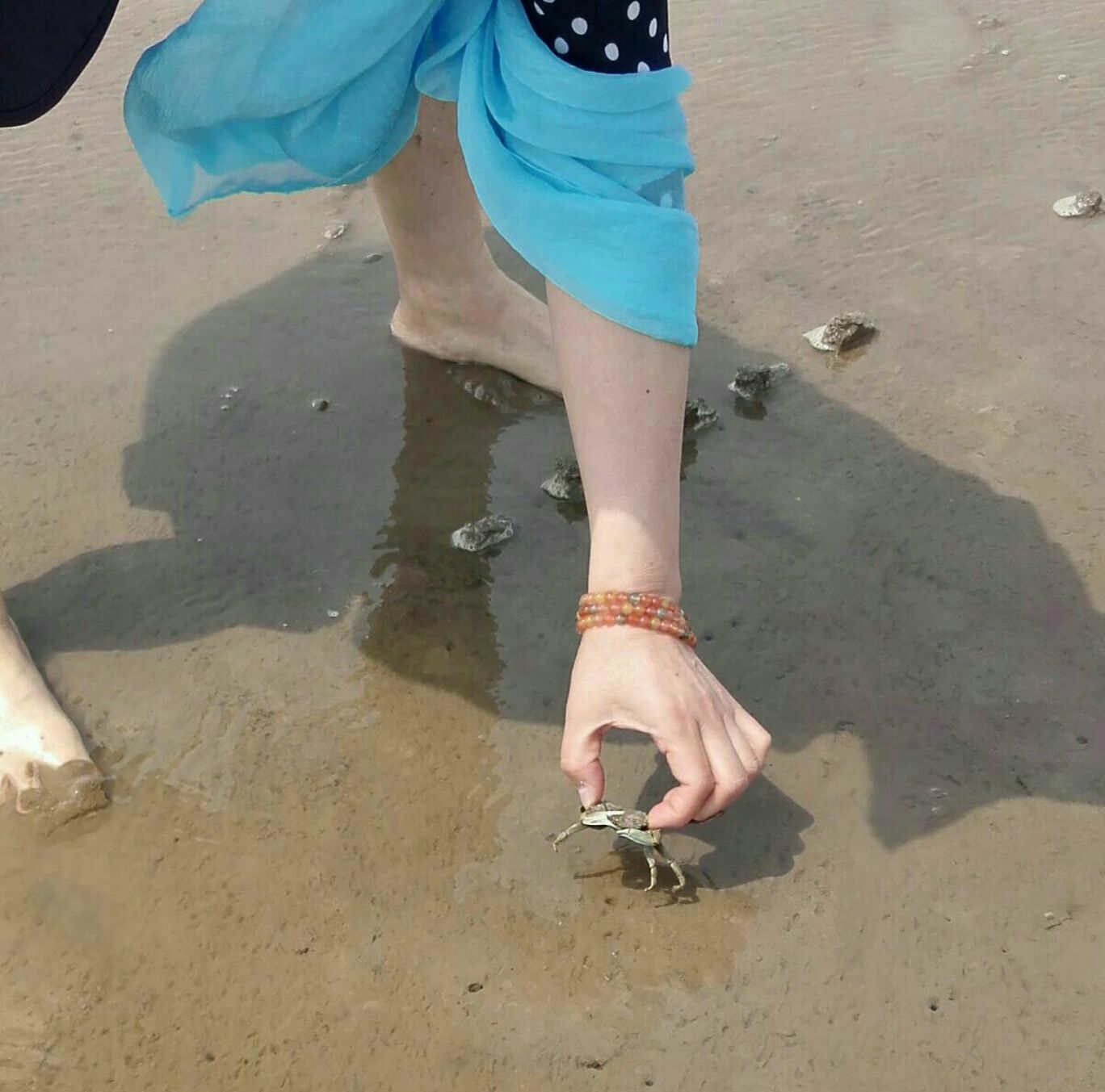 到山东东营的海边溜达溜达滩涂风景别有一番风味