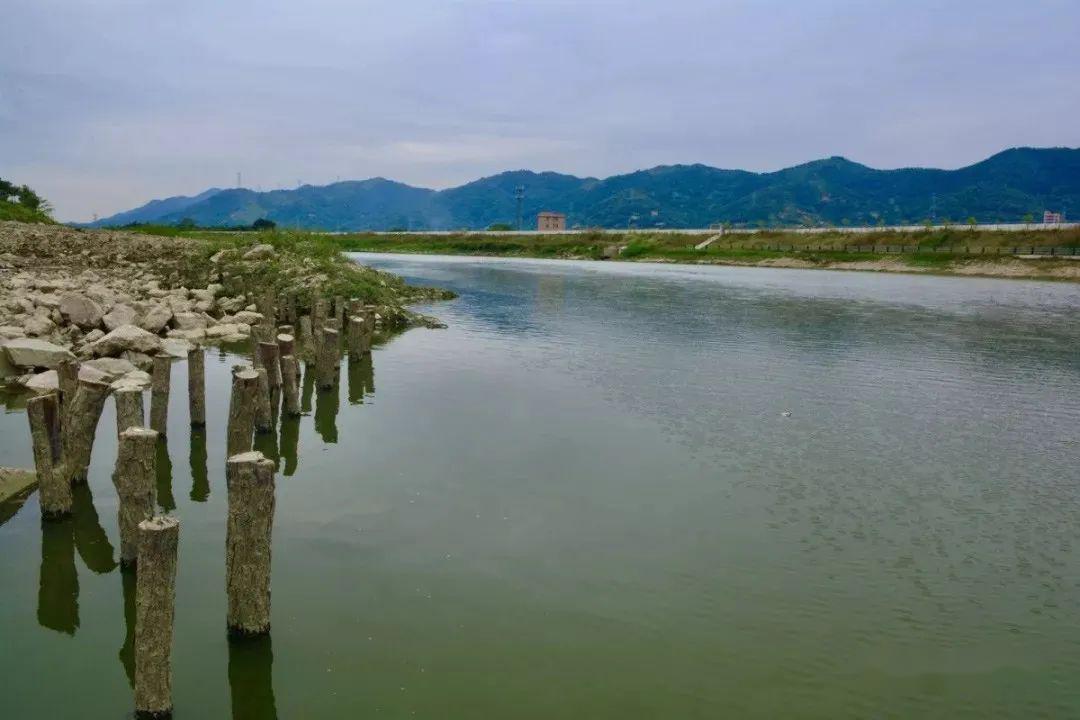 14强化源头生态补水,全力加快关埠引水,乌石拦河闸引水等"三江连通"