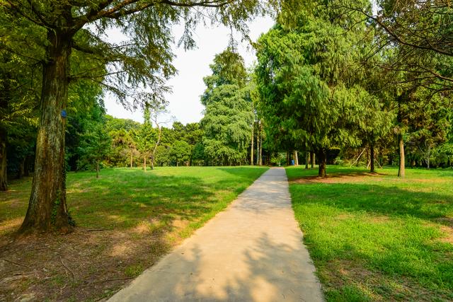 原創南京不為人知的春遊打卡地第一座國立植物園一站看遍櫻花海棠