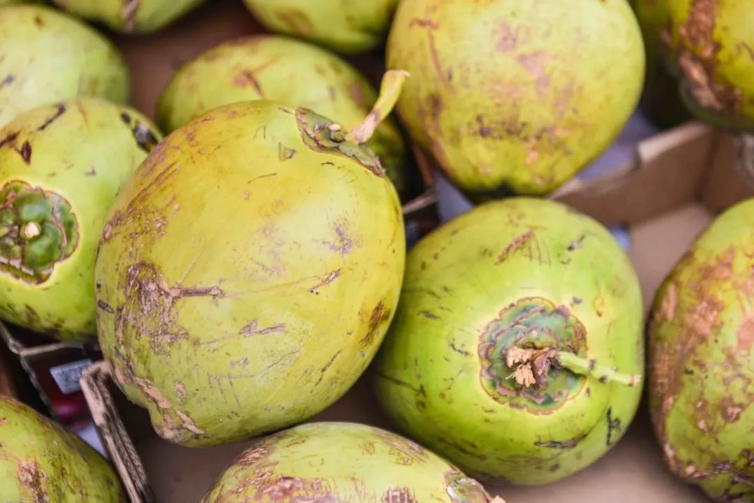 27成都又双叕提前入夏了热带海风也吹到了这里快来感受一下