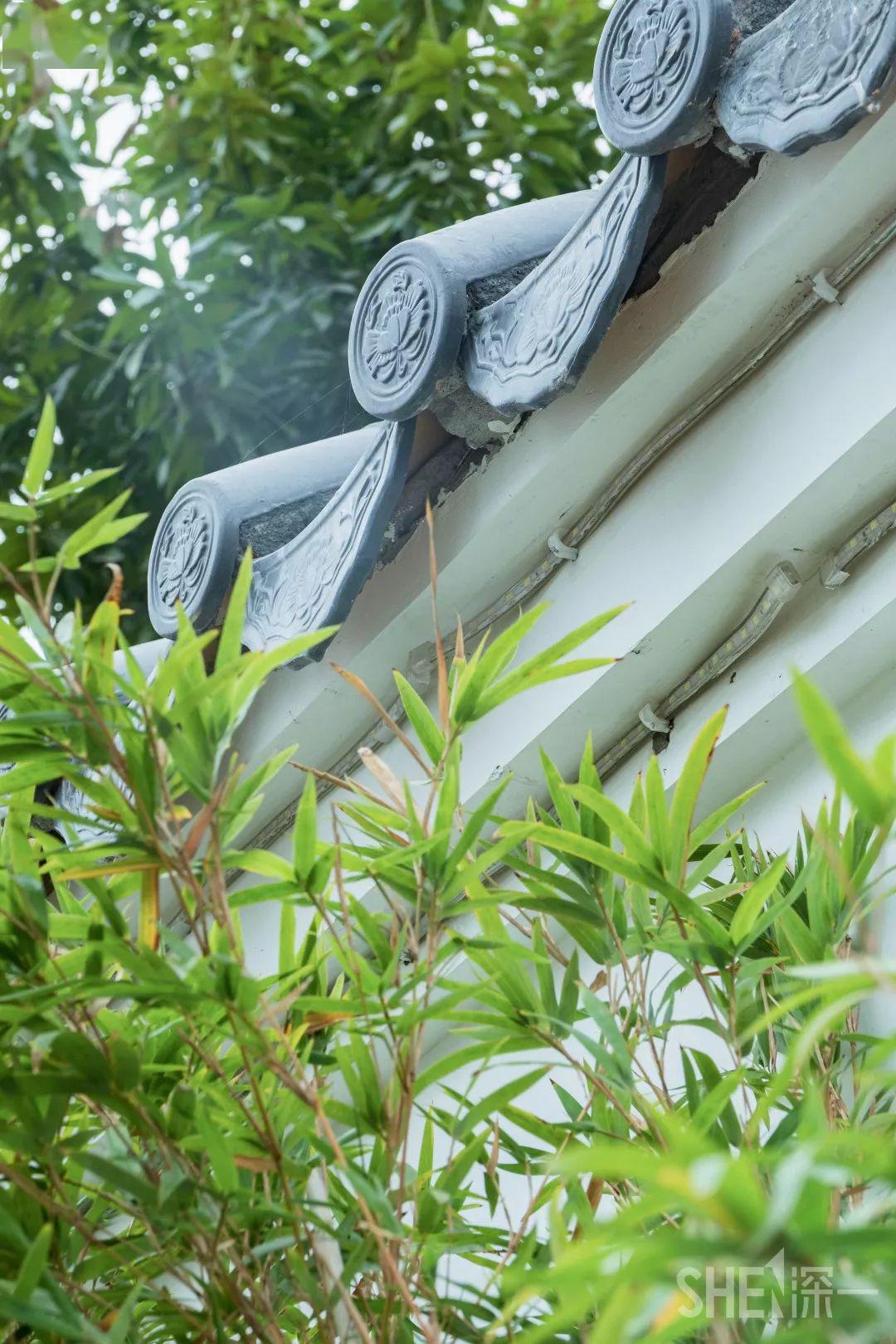 啊啊啊啊啊深圳这个村子都是竹子