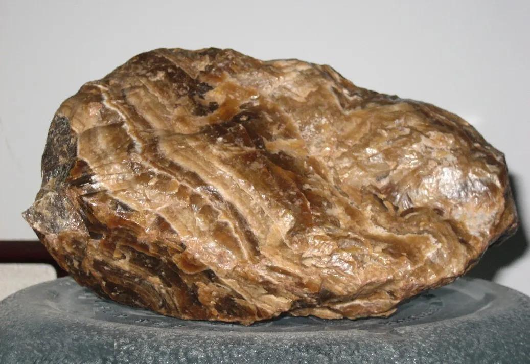 又有奇香又能驱毒鬼吹灯里的闻香玉到底有什么神奇的来历