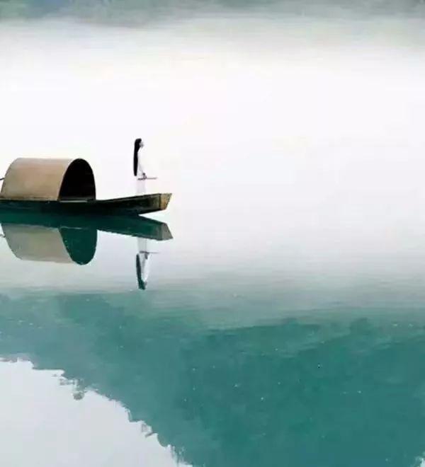 每个人各有渡口各有归舟