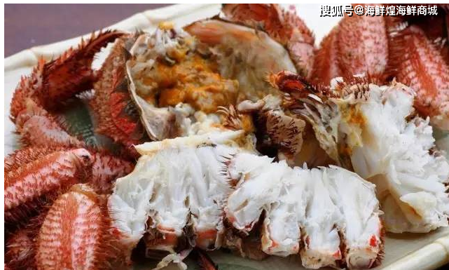 1.2 栗蟹--只有我觉得自己像枚栗子吗?