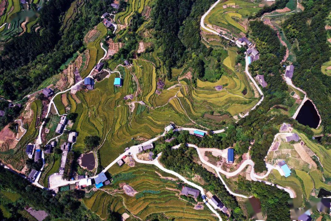 走进高阳镇的金惠村,诉说一个深度贫困村的"逆袭"