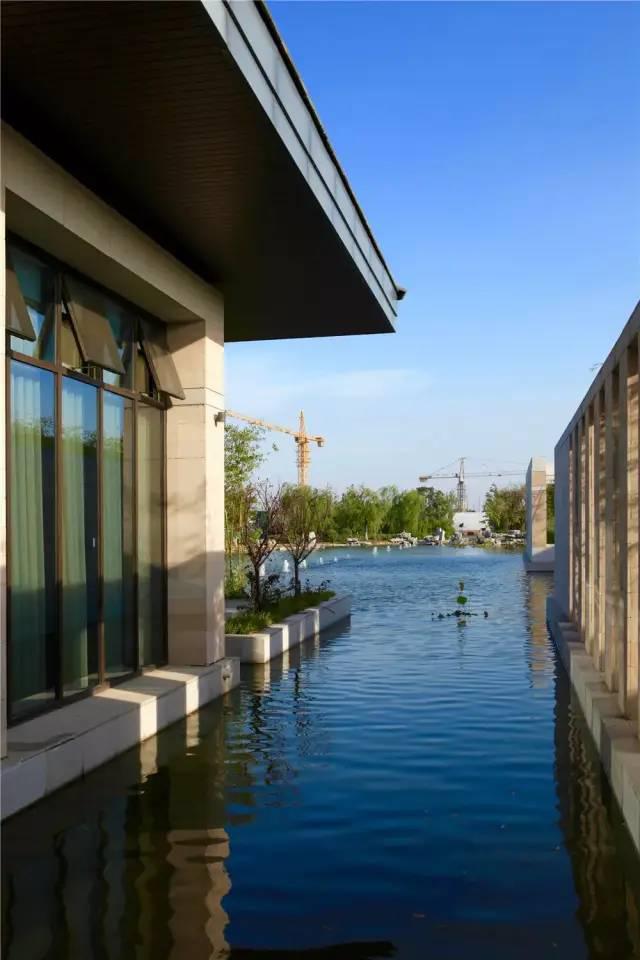 首开提香湾丨最美人间四月展现春日繁盛