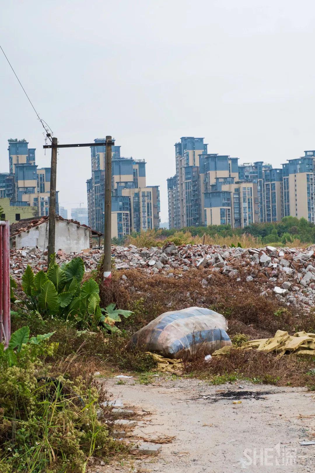 威猛前不久去竹村老围的时候就发现这里已经变成一