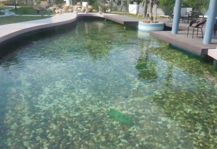 夏天快到了你家小区的水池喷泉还在喷水吗