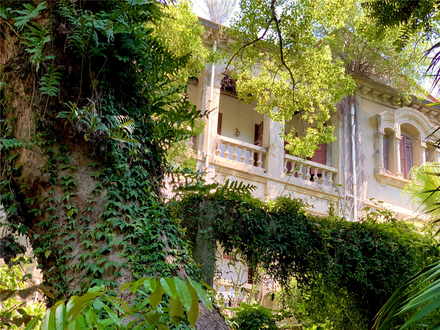 荒废的鼓浪屿豪宅:价值数千万房产,主人家却不知去向_别墅