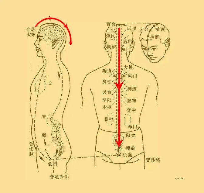 督脉的循行,能刮到之处,就是从印堂到尾椎,所以局部刮完了,最后撸顺