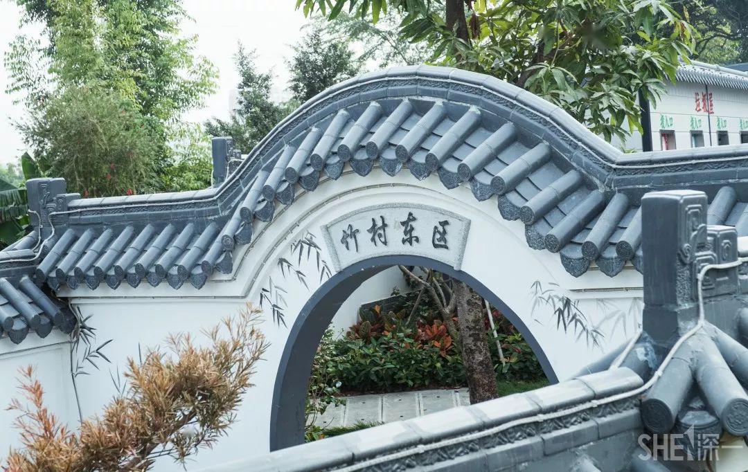 啊啊啊啊啊深圳这个村子都是竹子