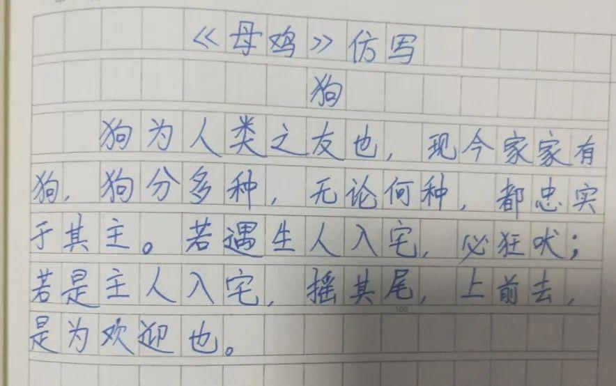 小古文悅讀和創編母雞