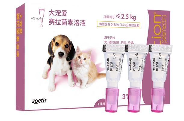 大宠爱怎么样?分享猫狗驱虫体验