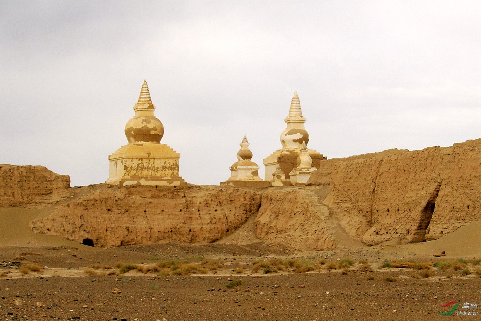 值得一去的内蒙境内额济纳旗--黑水城