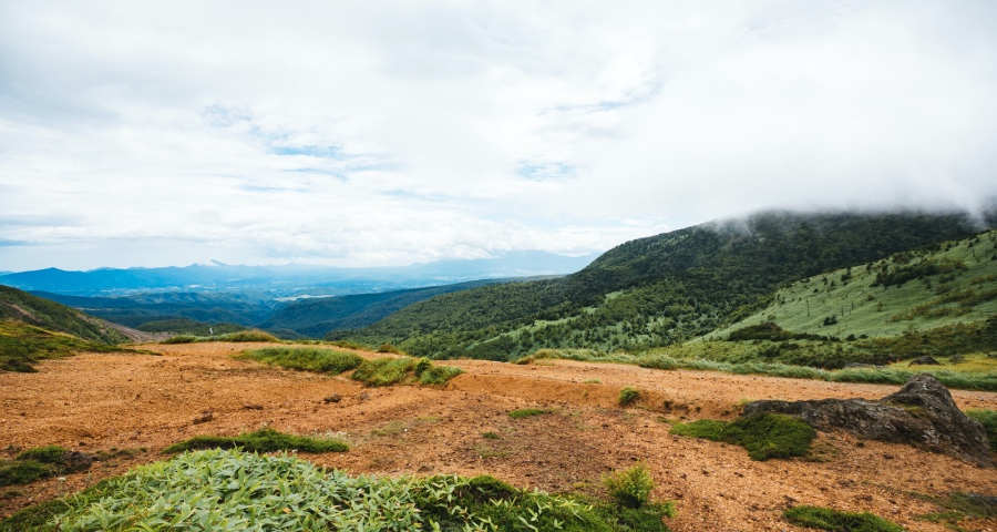 今年家电企业这根红线绝对别去踩：不能偷工减料打低价格战-家电圈官网