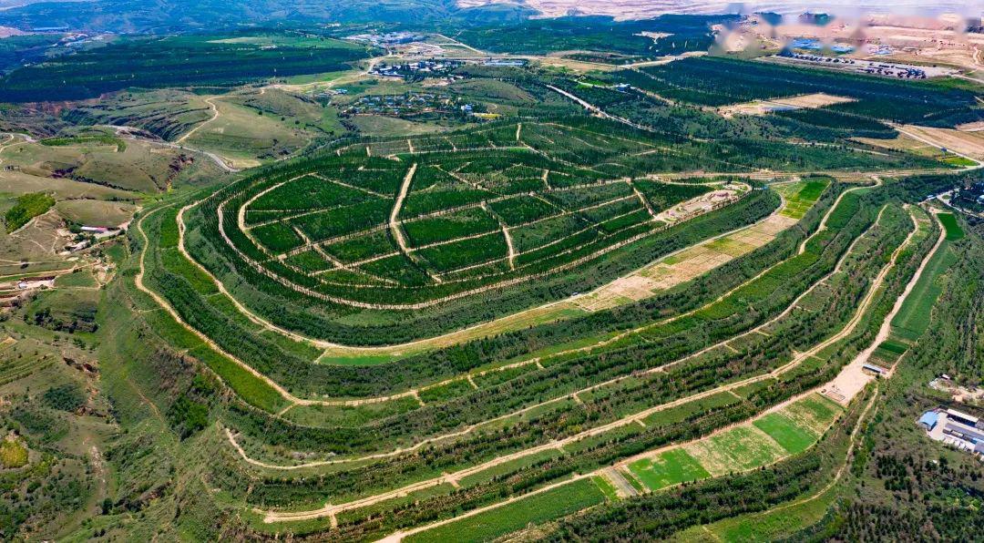 国家能源集团绿色矿山建设结硕果