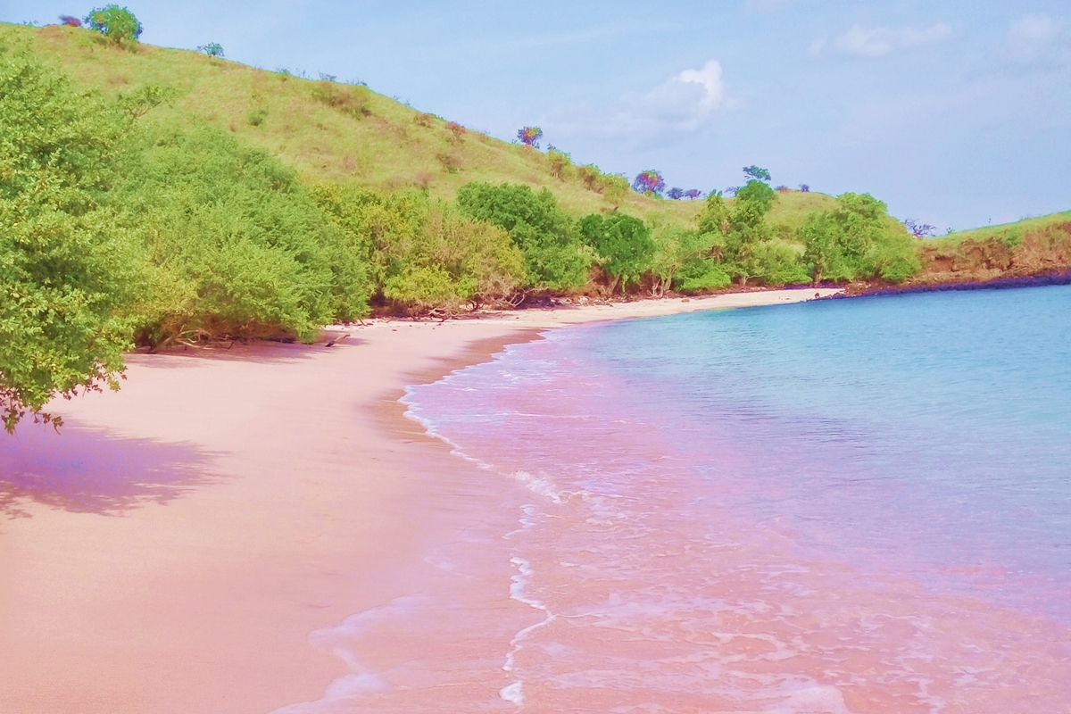 原创巴哈马是拉丁美洲的岛国与美国隔海相望粉色沙滩最出名
