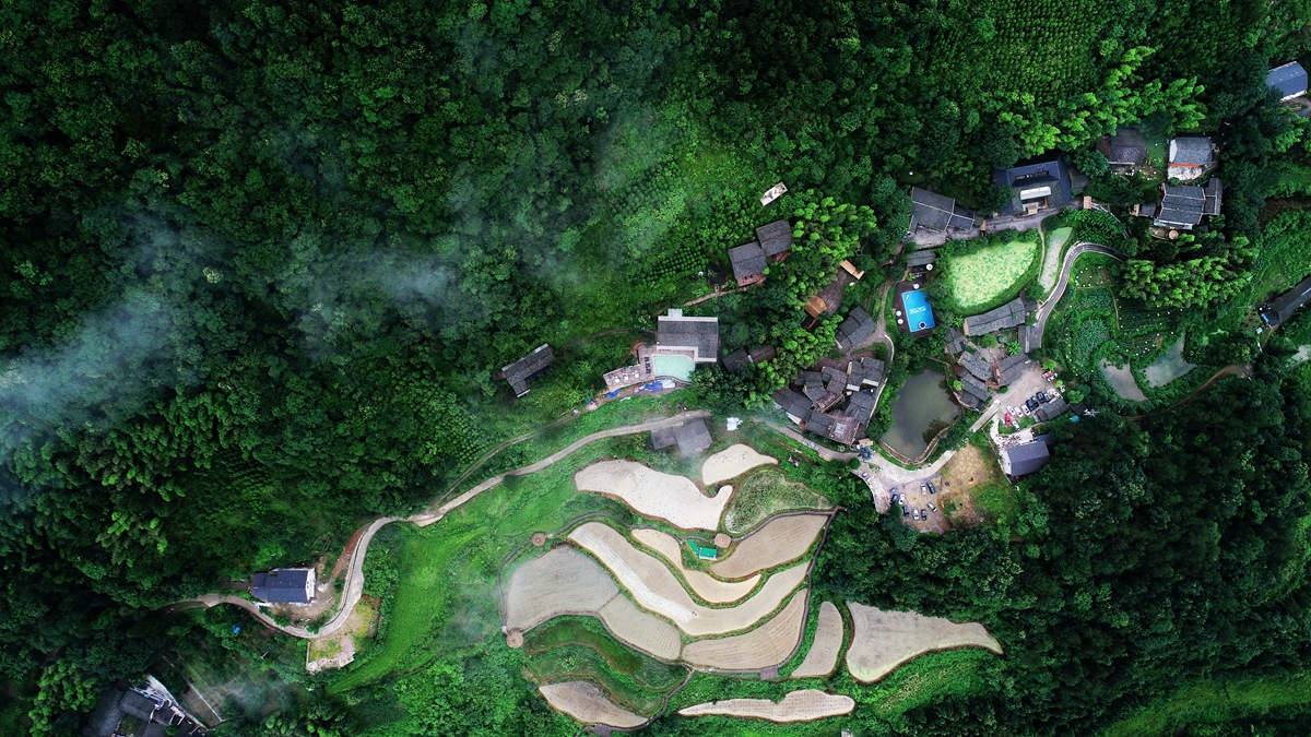 张家界五号山谷图片