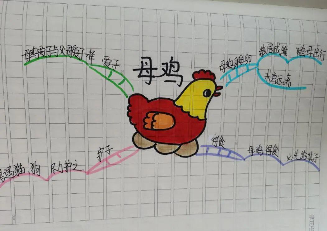 小古文悦读和创编母鸡