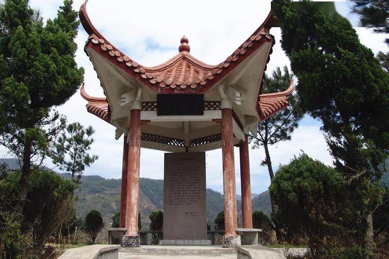 章水头条聚焦乡村振兴不动摇打造生态发展新样板章水