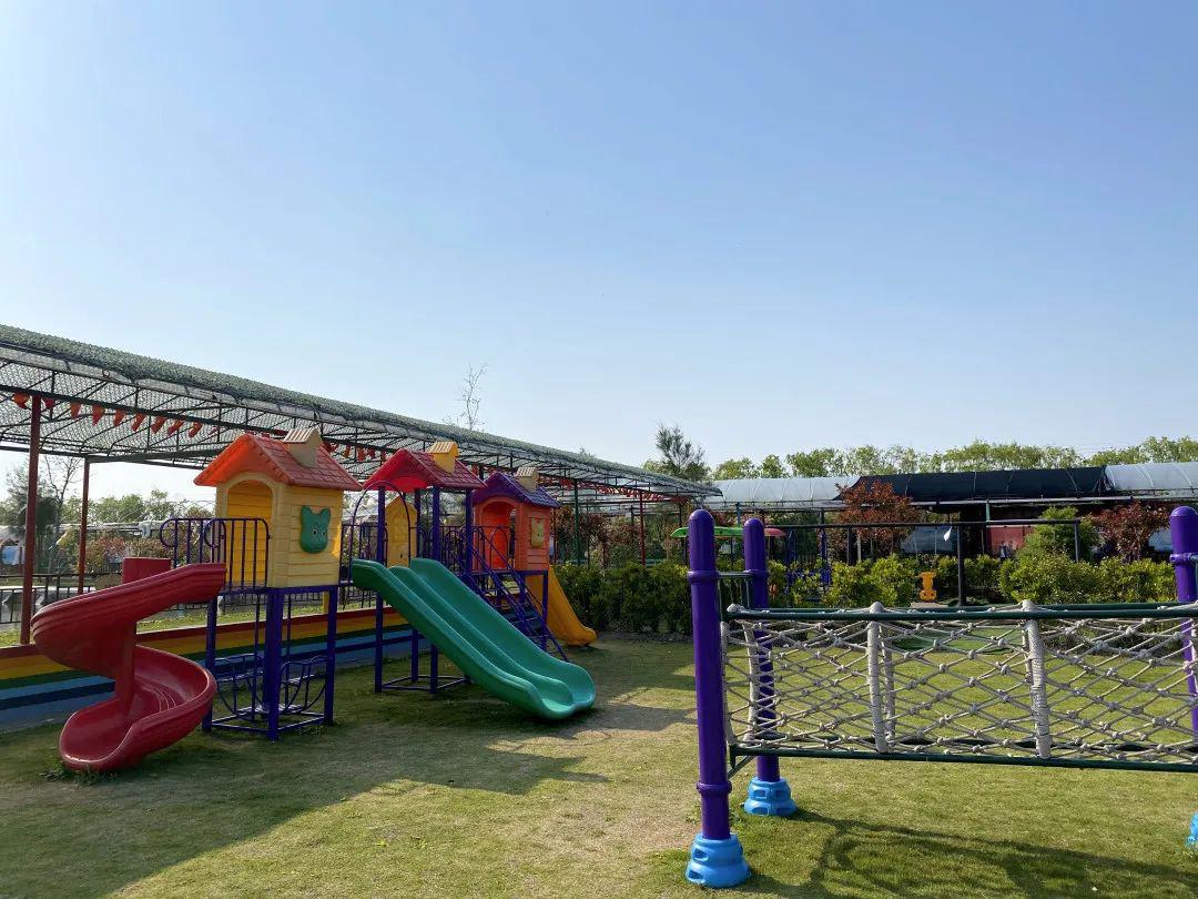 余姚的网红庄园全新亮相,一起去春游吧!