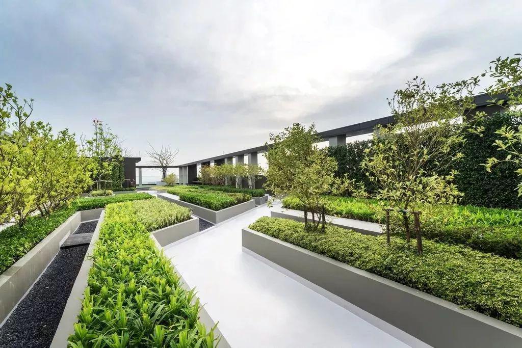 屋顶花园,该怎样设计?_种植