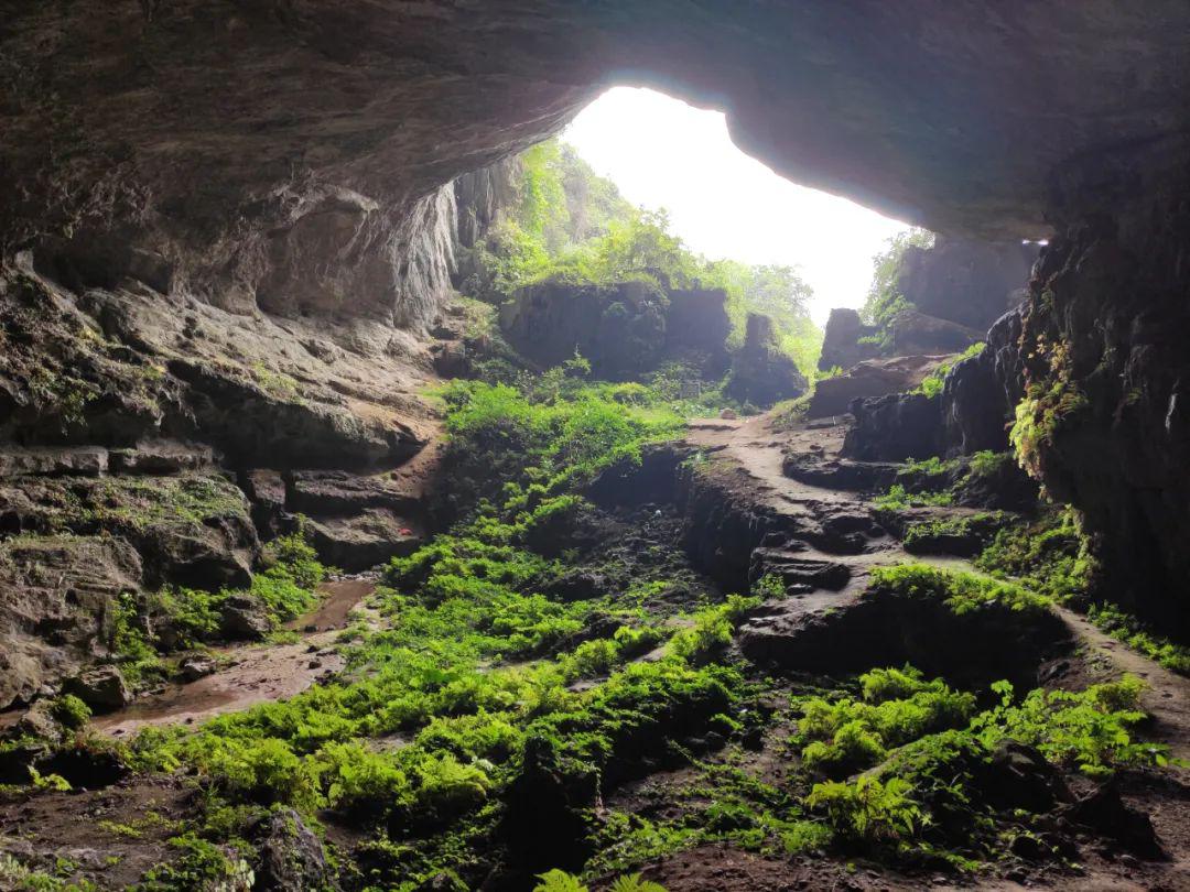 自驾跟车丨秘境韶关茶岩顶417周五晚19行摄罗坑大草原茶山花事论剑山