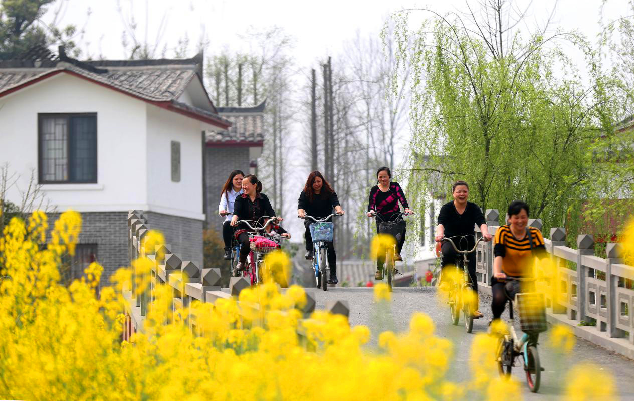 探访中国十大最美乡村青杠树村