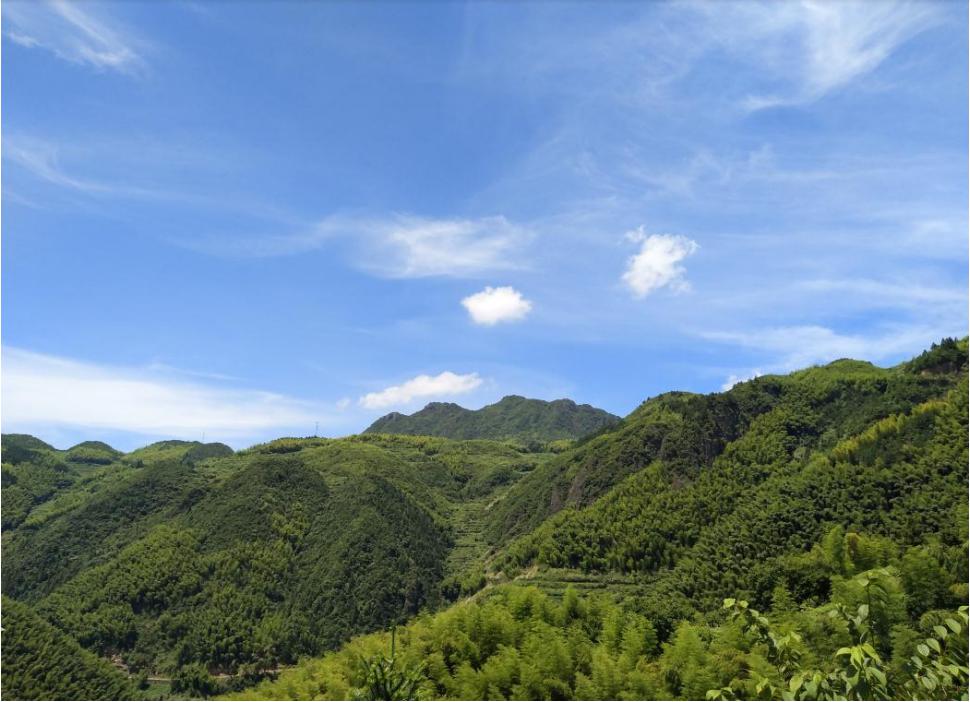 傳統村落山路蜿蜒層巒叢翠高坪鄉淡竹村