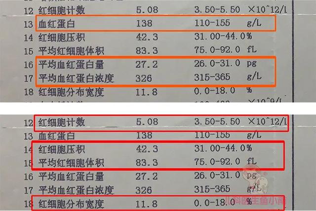 原创看血常规像看天书知道这几个指标意味着什么就够啦