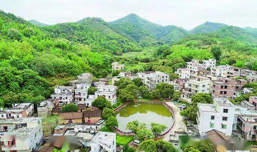 近日,记者走进德庆县新圩镇历麻村委会的丽岸村,清新的空气迎面而来