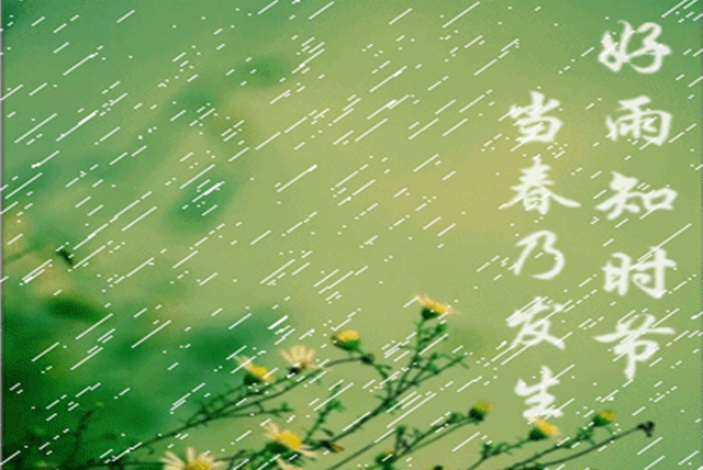 640_428gif 动态图 动图