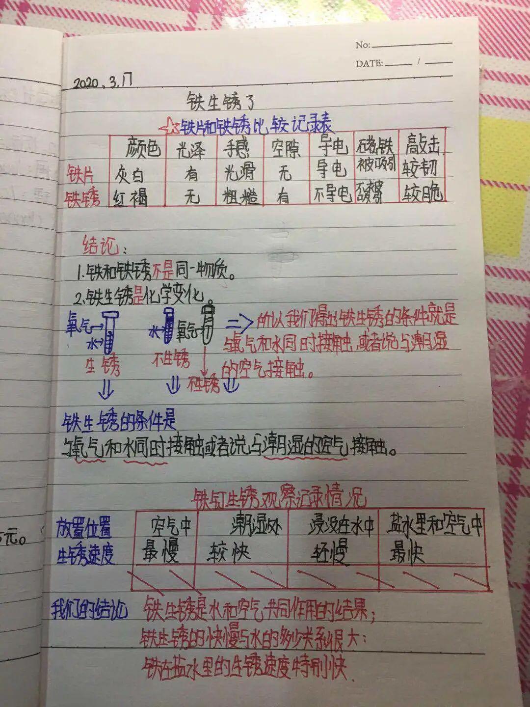 我的科学日记 ——六年级线上科学课第一阶段展示_笔记