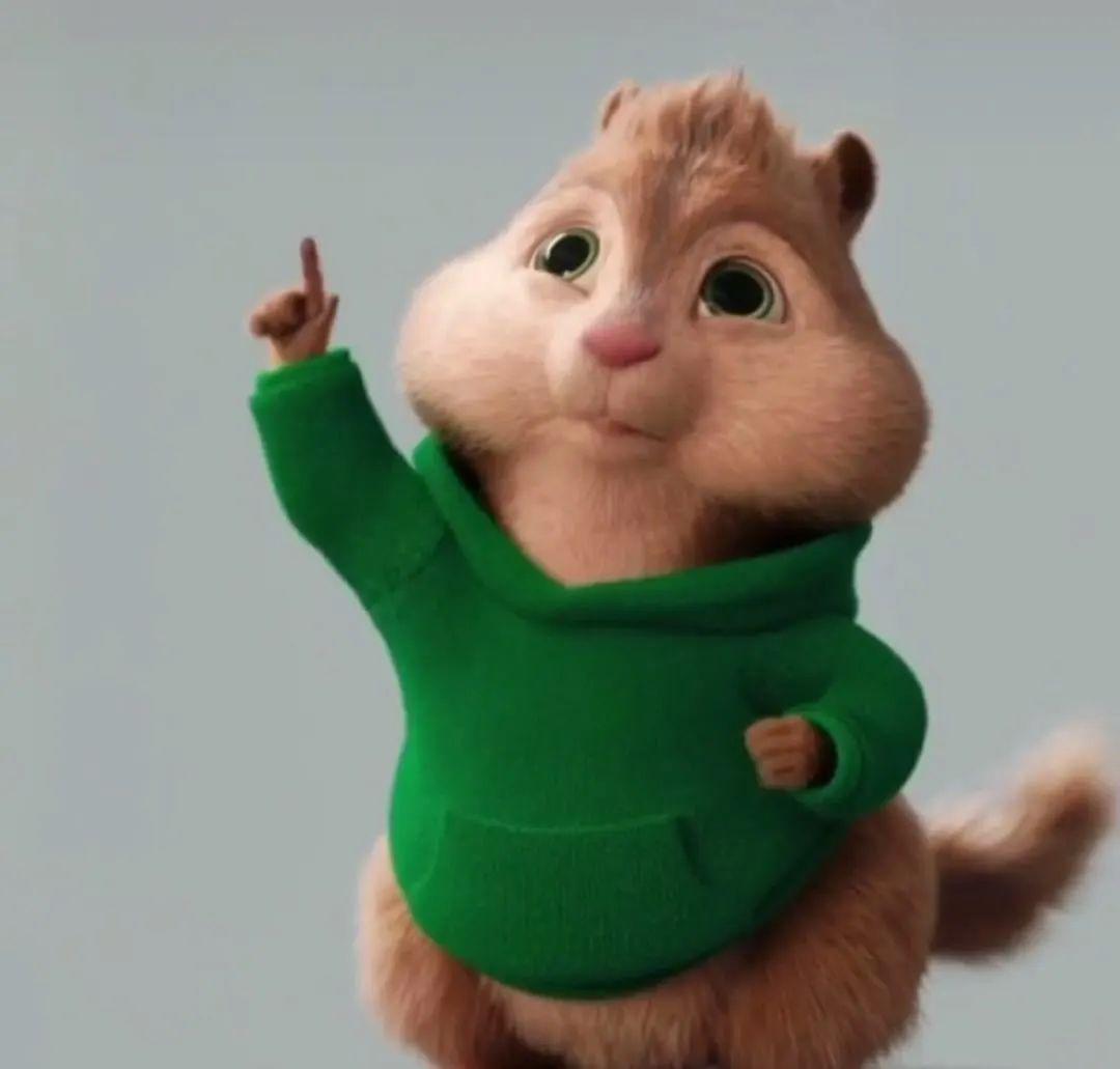 花栗鼠喜多,艾文和赛门就是我们今天的主人公!