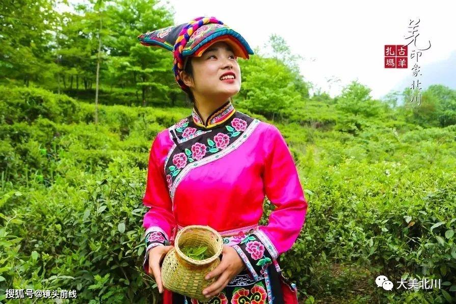 北川茶四川绵阳北川擂鼓羌山采茶姑娘