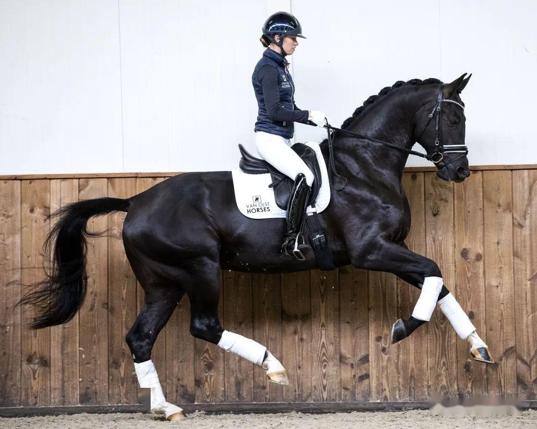 来点干货节奏的认识与训练part1rhythm与tempo的区别如何定位你的马