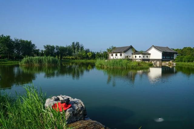 春光无限河间瀛州公园云游模式开启