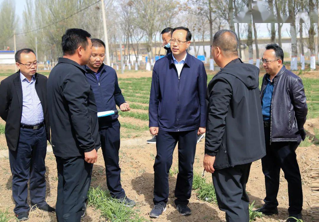 沧州李玉山图片