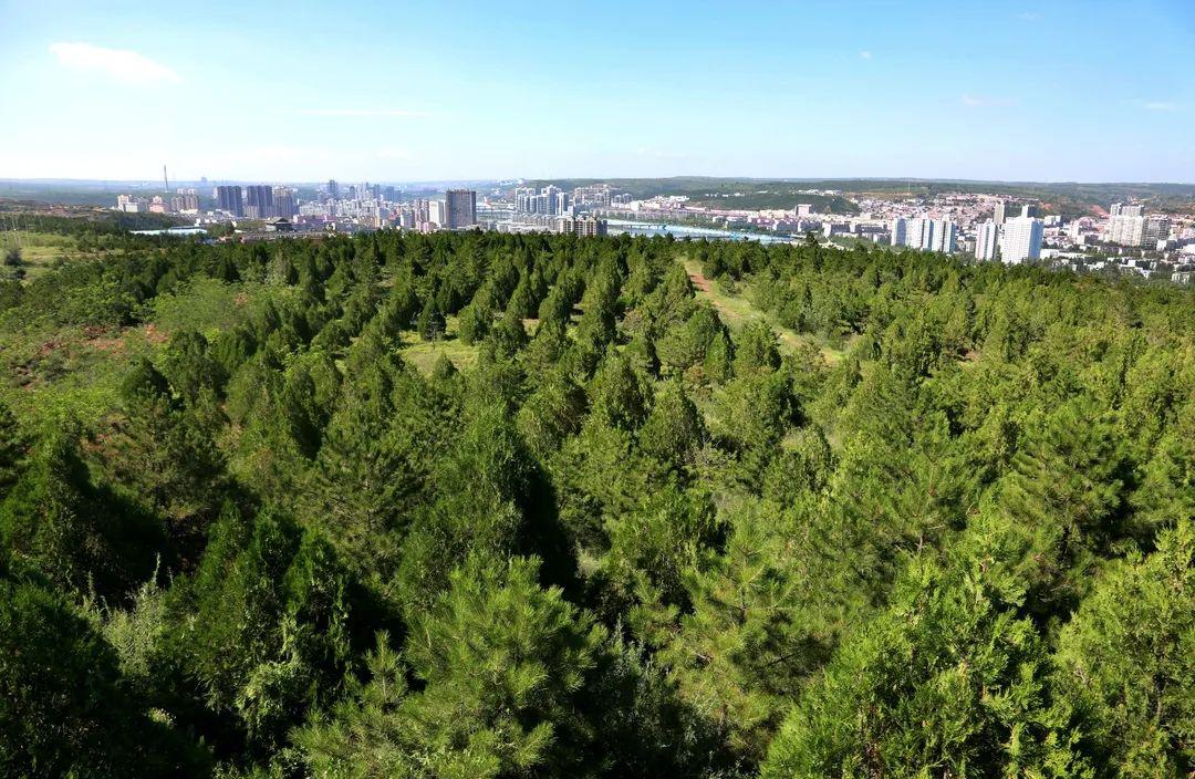 榆家梁煤矿自2000年以来,累计投资6000余万元利用矿区的自然资源,因地